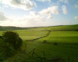 The beautiful south Downs